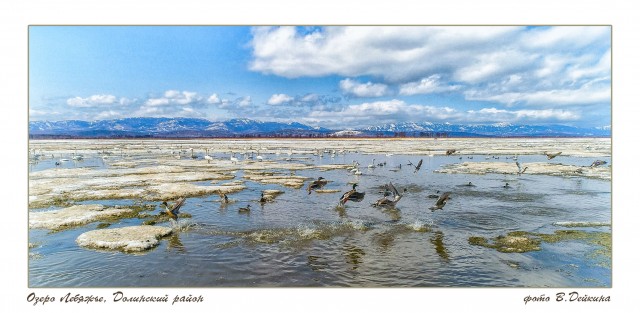 Весна 2017
Фотограф: В.Дейкин

Просмотров: 2862
Комментариев: 3