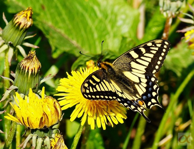 ***
Фотограф: Сергей Буркацкий

Просмотров: 1009
Комментариев: 0