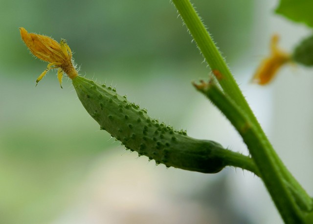 ***
Фотограф: Сергей Буркацкий

Просмотров: 773
Комментариев: 0