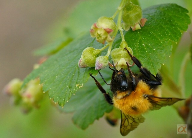 ***
Фотограф: Сергей Буркацкий

Просмотров: 812
Комментариев: 0