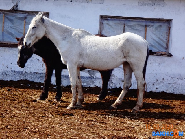 DSC00378

Просмотров: 724
Комментариев: 0