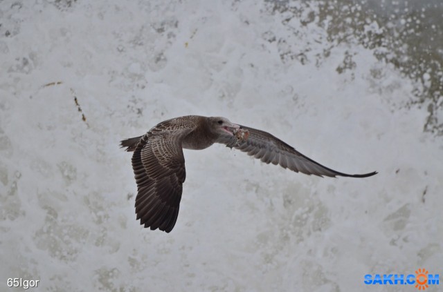 из пены

Просмотров: 865
Комментариев: 0