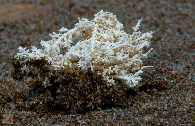 ***
Фотограф: Сергей Буркацкий

Просмотров: 944
Комментариев: 0