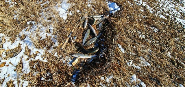 20211128_125712

Просмотров: 652
Комментариев: 0