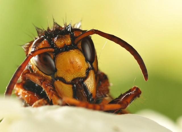 DSC00814
Фотограф: Сергей Буркацкий

Просмотров: 382
Комментариев: 0