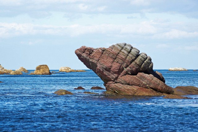 Улитка, морская )))
Фотограф: VictorV

Просмотров: 1825
Комментариев: 2