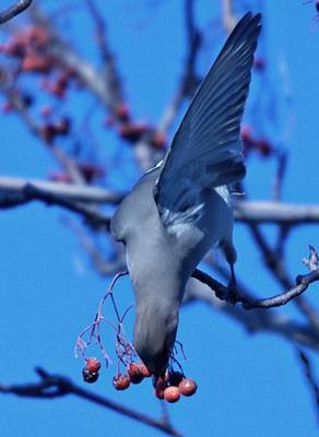 DSC03860
Фотограф: Сергей Буркацкий

Просмотров: 354
Комментариев: 0