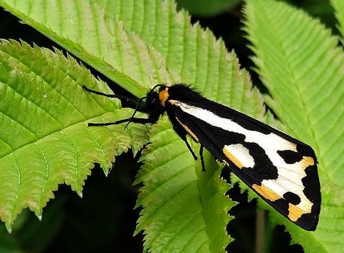 DSC00209
Фотограф: Сергей Буркацкий

Просмотров: 357
Комментариев: 0