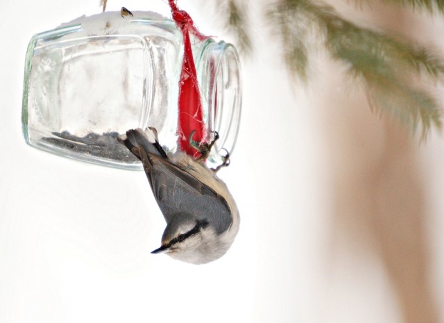 DSC07735
Фотограф: Сергей Буркацкий

Просмотров: 904
Комментариев: 0