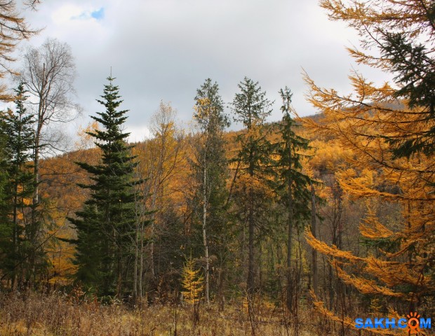025-к

Просмотров: 639
Комментариев: 0
