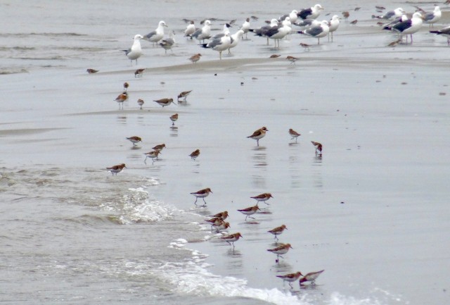 DSC04160
Фотограф: Сергей Буркацкий

Просмотров: 481
Комментариев: 0