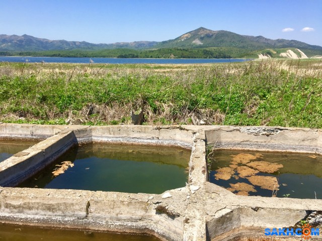 A8327288-7DA9-44EE-B4E1-F199E6175533
Фотограф: Tsygankov Yuriy

Просмотров: 925
Комментариев: 0