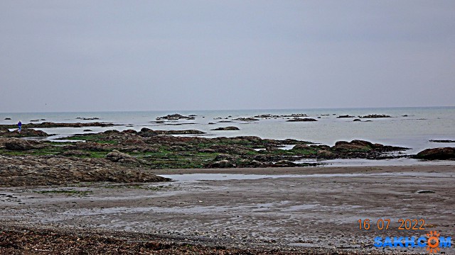 DSC00880