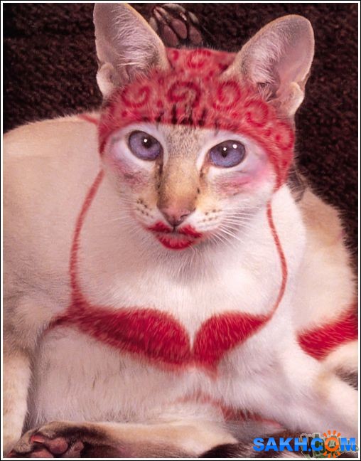 41
Фотограф: synthetic

Просмотров: 642
Комментариев: 0