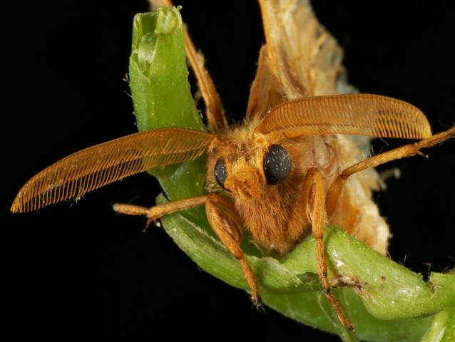 DSC02008
Фотограф: Сергей Буркацкий

Просмотров: 433
Комментариев: 0