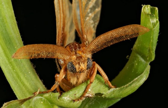 DSC02004
Фотограф: Сергей Буркацкий

Просмотров: 631
Комментариев: 0