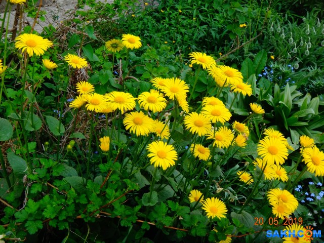 DSC06899

Просмотров: 528
Комментариев: 0