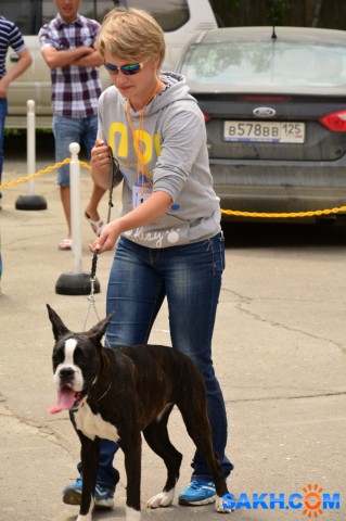 DSC_0074 (853x1280)
Фотограф: Vitus

Просмотров: 346
Комментариев: 0