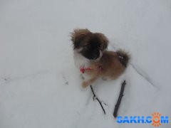 getImage (19)

Просмотров: 2038
Комментариев: 0