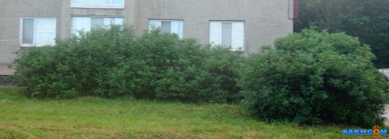 DSC03920

Просмотров: 545
Комментариев: 0