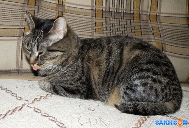 Ох и сильный же этот Морфей...

Просмотров: 650
Комментариев: 0