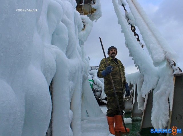 Японское море, 2016 год.
Фотограф: 7388PetVladVik

Просмотров: 5595
Комментариев: 3