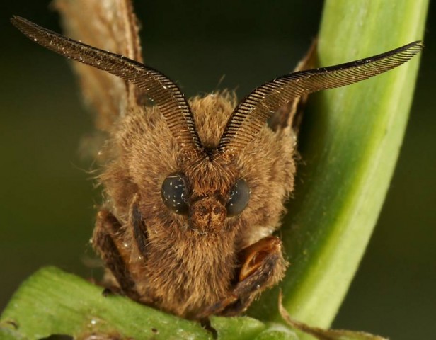 DSC01997
Фотограф: Сергей Буркацкий

Просмотров: 617
Комментариев: 0