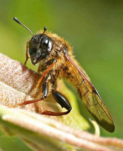 DSC07480
Фотограф: Сергей Буркацкий

Просмотров: 519
Комментариев: 0