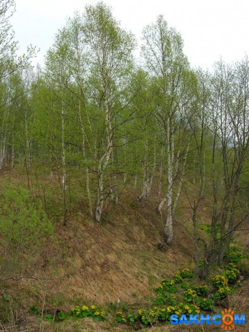 Dscn9567-к

Просмотров: 791
Комментариев: 0
