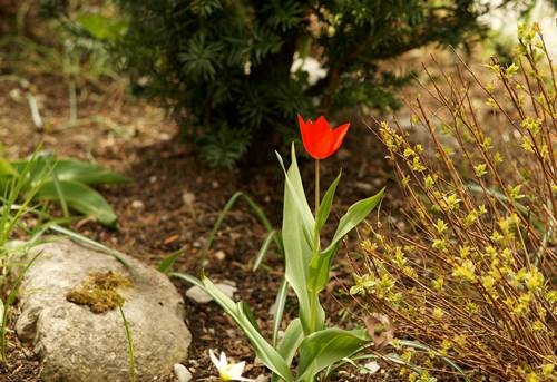 DSC04913
Фотограф: Сергей Буркацкий

Просмотров: 403
Комментариев: 0