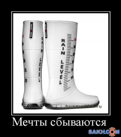 mechtyi-sbyivayutsya