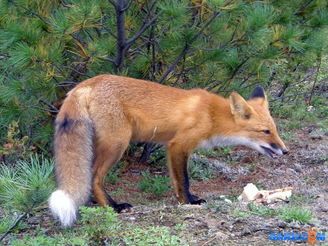DSCF0091-к-м

Просмотров: 907
Комментариев: 2