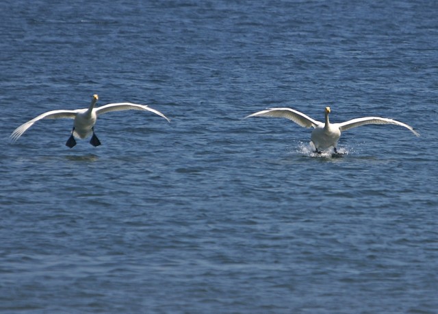 ***
Фотограф: Сергей Буркацкий

Просмотров: 958
Комментариев: 0