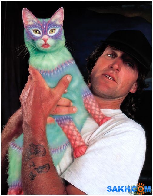 3
Фотограф: synthetic

Просмотров: 327
Комментариев: 0