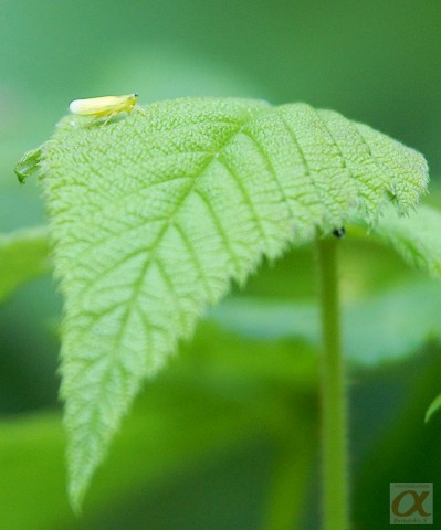***
Фотограф: Сергей Буркацкий

Просмотров: 881
Комментариев: 0