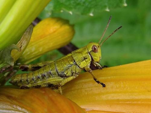 DSC00197
Фотограф: Сергей Буркацкий

Просмотров: 375
Комментариев: 0