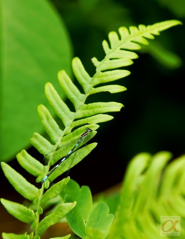 ***
Фотограф: Сергей Буркацкий

Просмотров: 779
Комментариев: 0