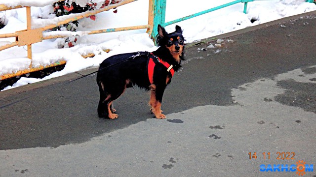 DSC05460