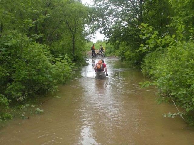 Бухта Лососей 28.06.09 014