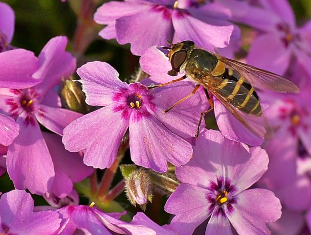 ***
Фотограф: Сергей Буркацкий

Просмотров: 1013
Комментариев: 0
