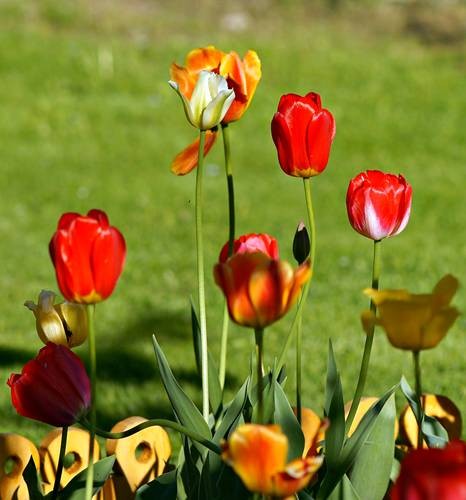 DSC05436
Фотограф: Сергей Буркацкий

Просмотров: 636
Комментариев: 0