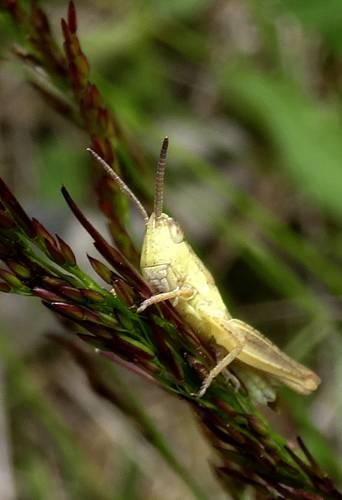 DSC00219
Фотограф: Сергей Буркацкий

Просмотров: 151
Комментариев: 0