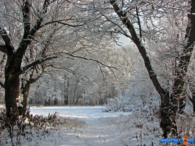 IMG_4843-к

Просмотров: 622
Комментариев: 1