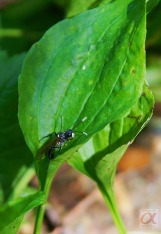***
Фотограф: Сергей Буркацкий

Просмотров: 603
Комментариев: 0