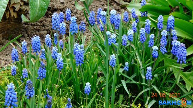 DSC02564

Просмотров: 359
Комментариев: 0