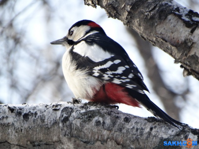 DSC05920_н

Просмотров: 317
Комментариев: 0