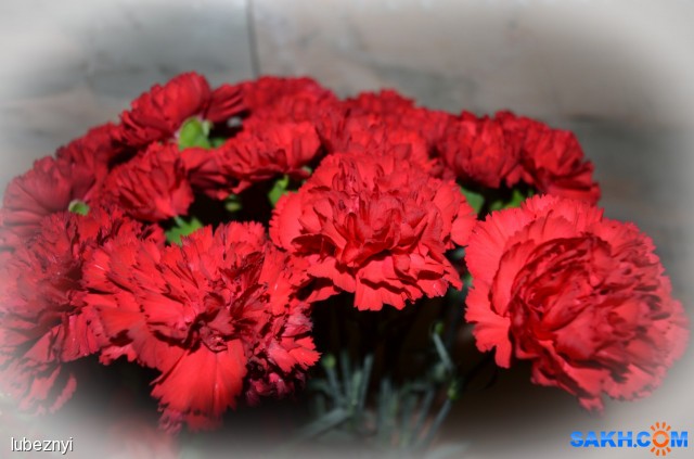 МИР-ТРУД-МАЙ
Фотограф: NIK

Просмотров: 684
Комментариев: 0