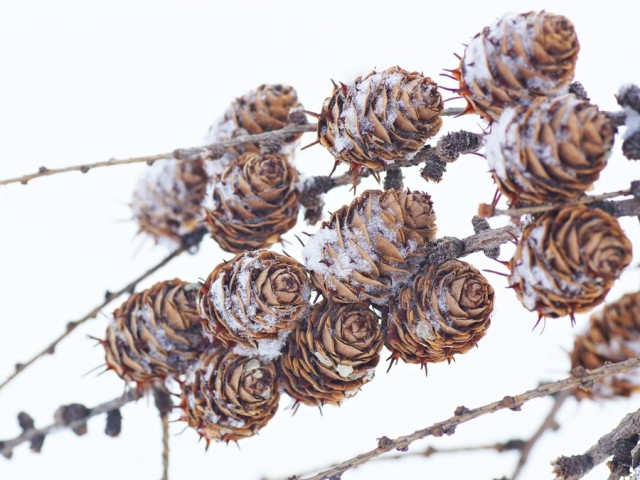 ***
Фотограф: Сергей Буркацкий

Просмотров: 1236
Комментариев: 2