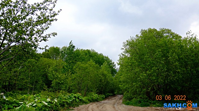 DSC09719