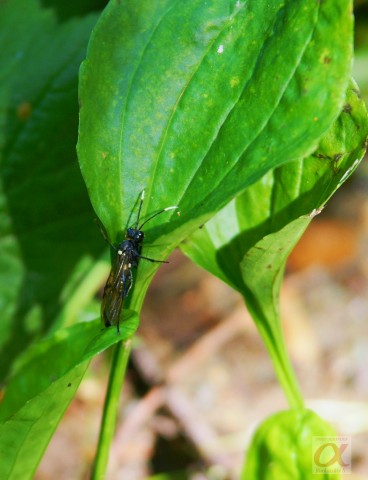 ***
Фотограф: Сергей Буркацкий

Просмотров: 635
Комментариев: 0